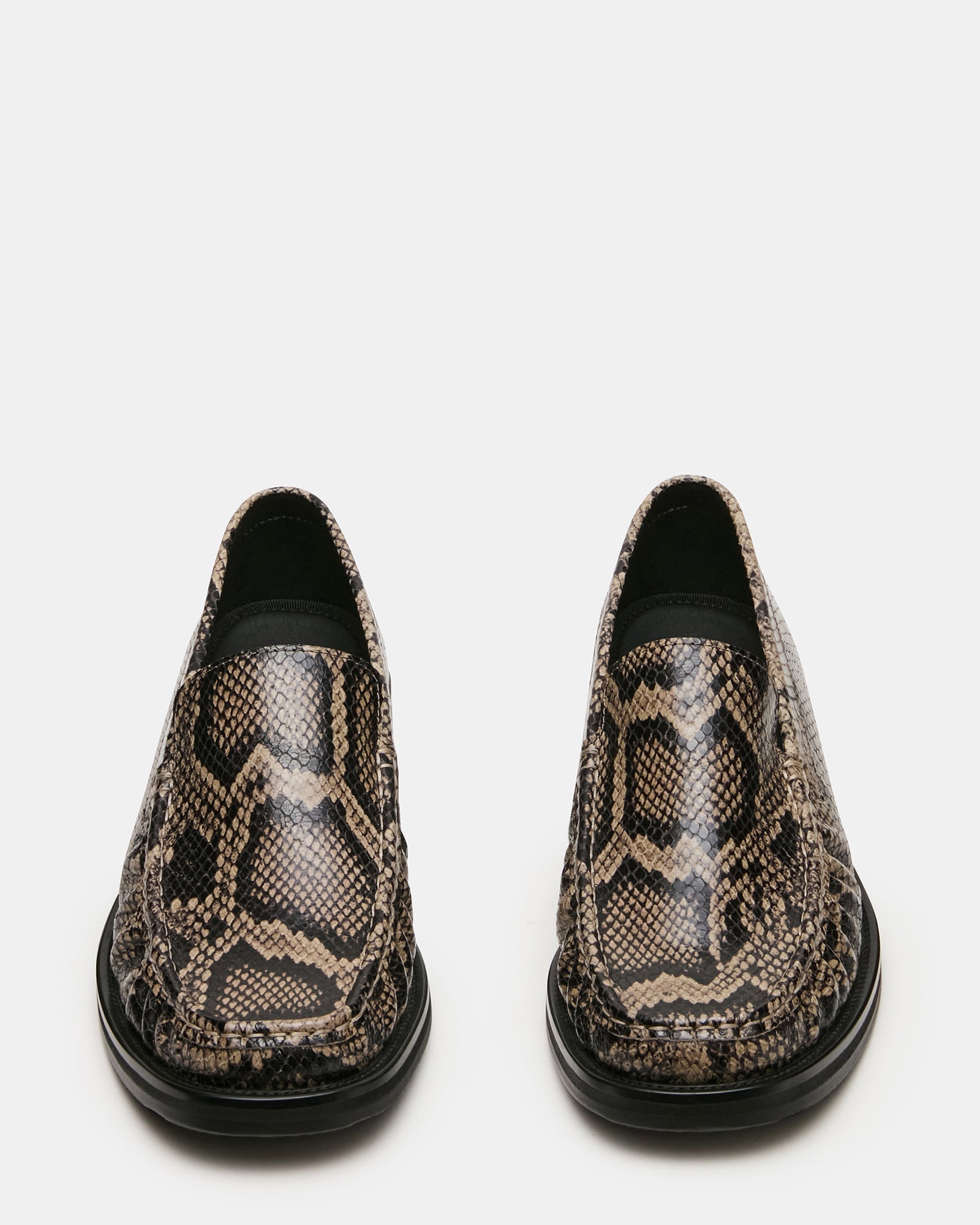CELESTINO GREY SNAKE