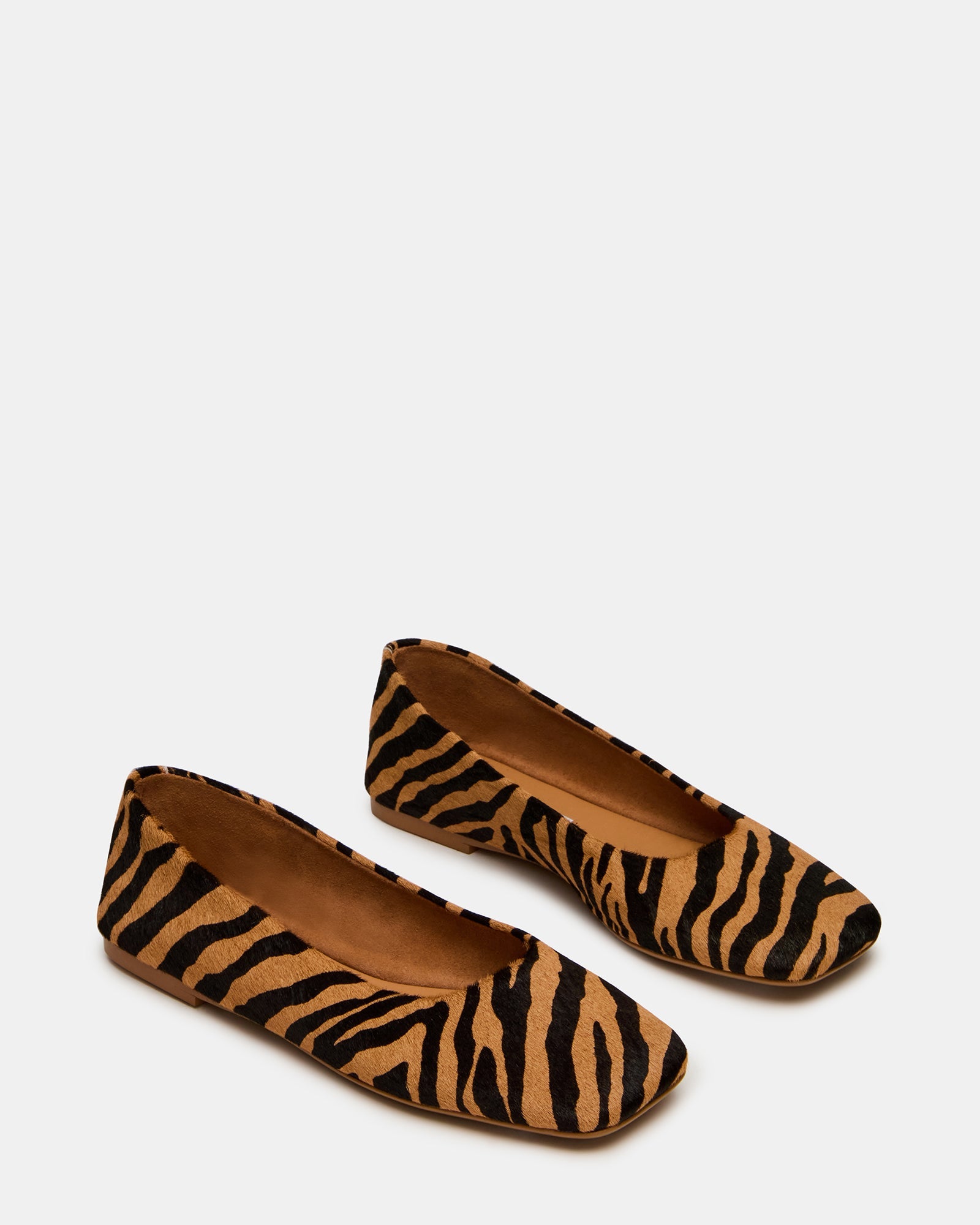 NURTURE ZEBRA